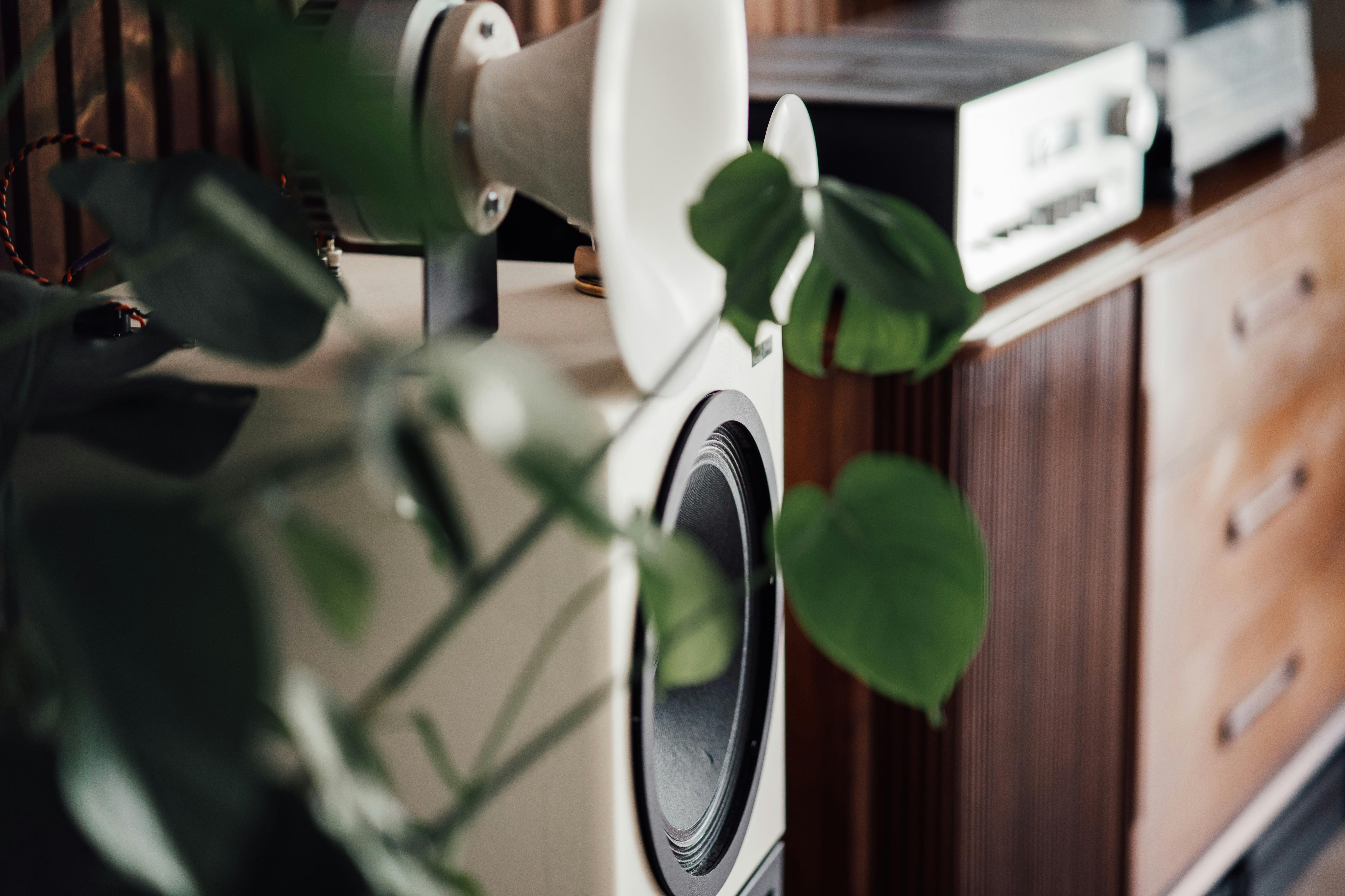 Flash Sale: 50% Off Electronics